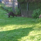 2013-09-25 09_08_22_jpg-1380200267