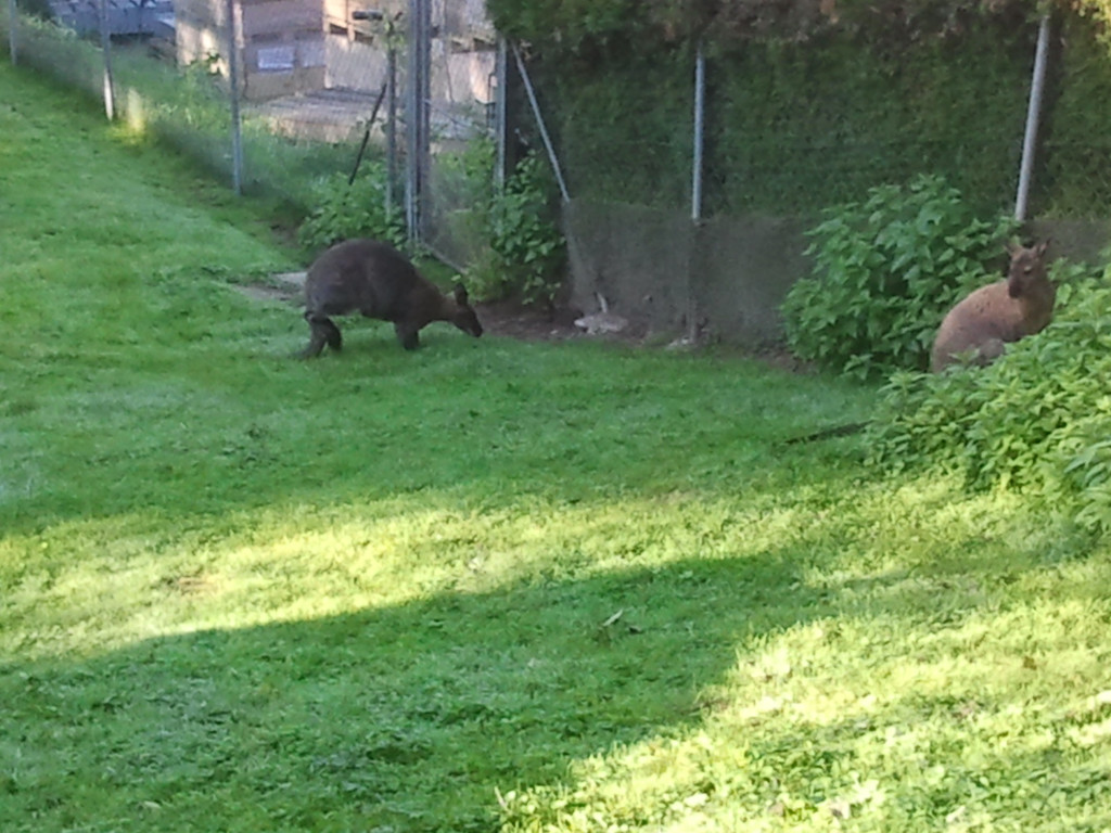 2013-09-25 09_08_22_jpg-1380200267