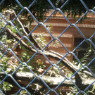 2013-09-25 09_12_02_jpg-1380200286