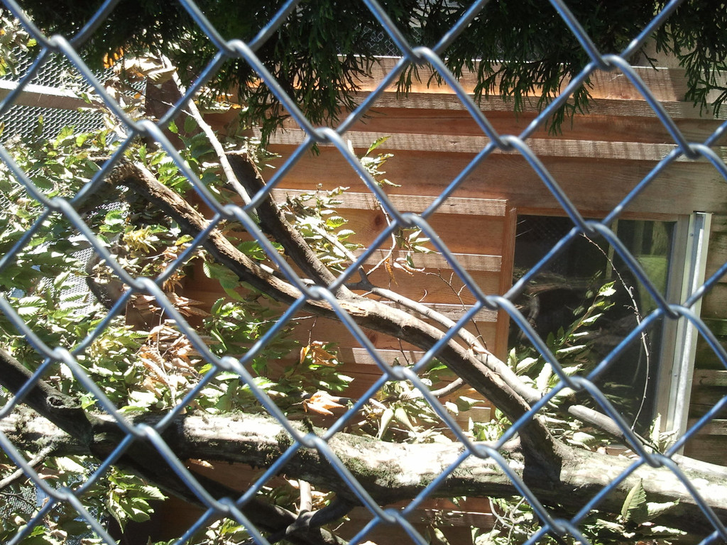 2013-09-25 09_12_02_jpg-1380200286