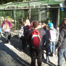 2013-09-25 09_12_27_jpg-1380200295