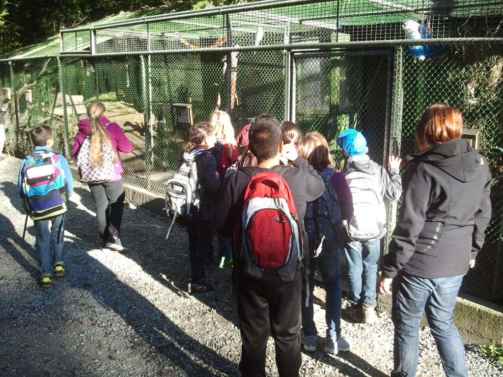 2013-09-25 09_12_27_jpg-1380200295