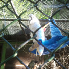 2013-09-25 09_13_14_jpg-1380200304