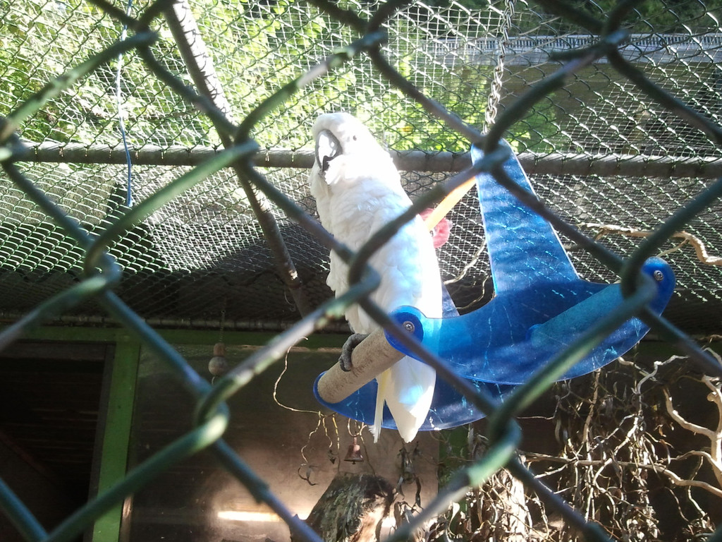 2013-09-25 09_13_14_jpg-1380200304