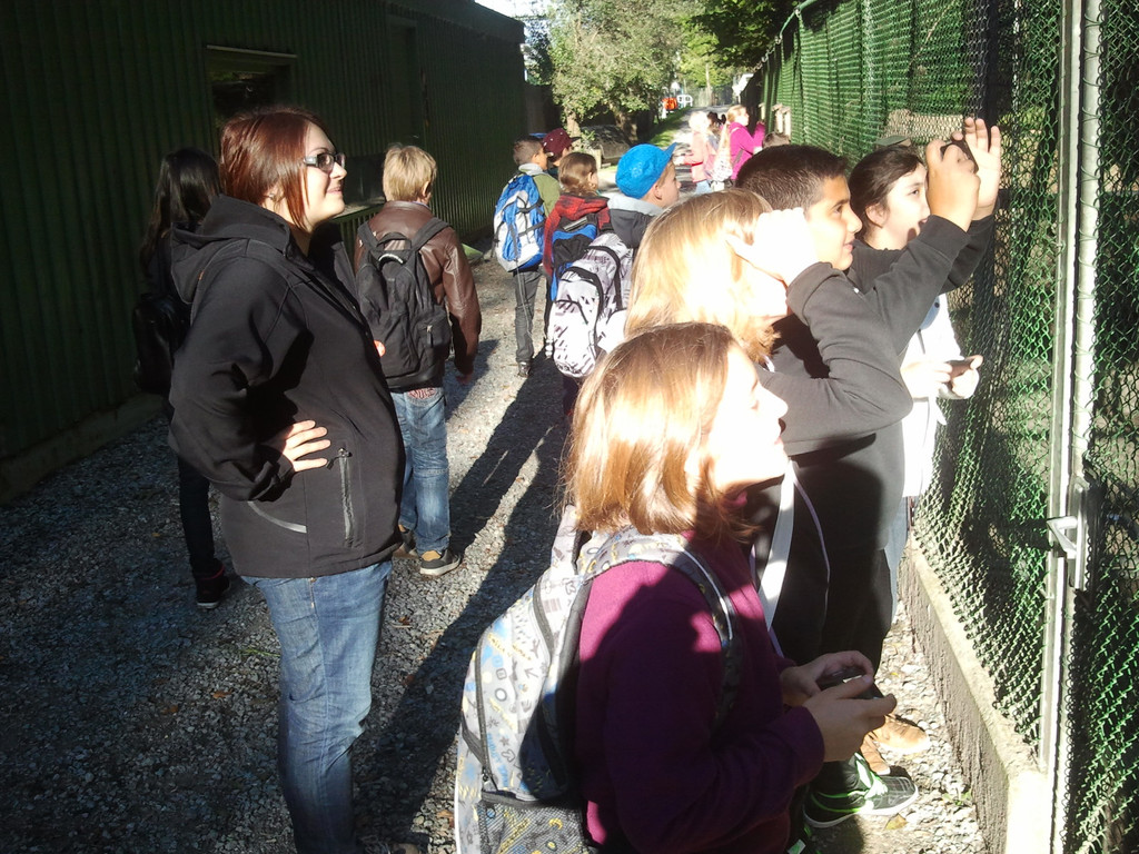 2013-09-25 09_13_20_jpg-1380200313