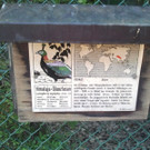 2013-09-25 09_14_07_jpg-1380200322