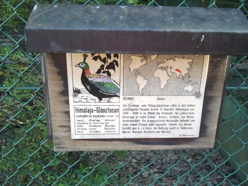 2013-09-25 09_14_07_jpg-1380200322