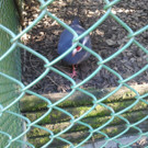 2013-09-25 09_14_24_jpg-1380200340