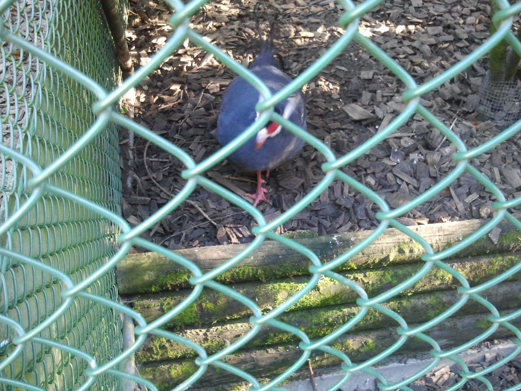 2013-09-25 09_14_24_jpg-1380200340