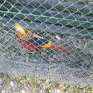 2013-09-25 09_15_25_jpg-1380200349