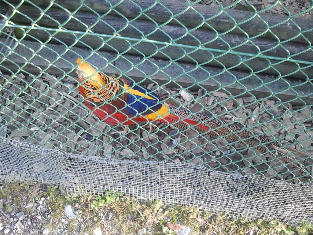 2013-09-25 09_15_25_jpg-1380200349