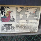 2013-09-25 09_15_30_jpg-1380200358