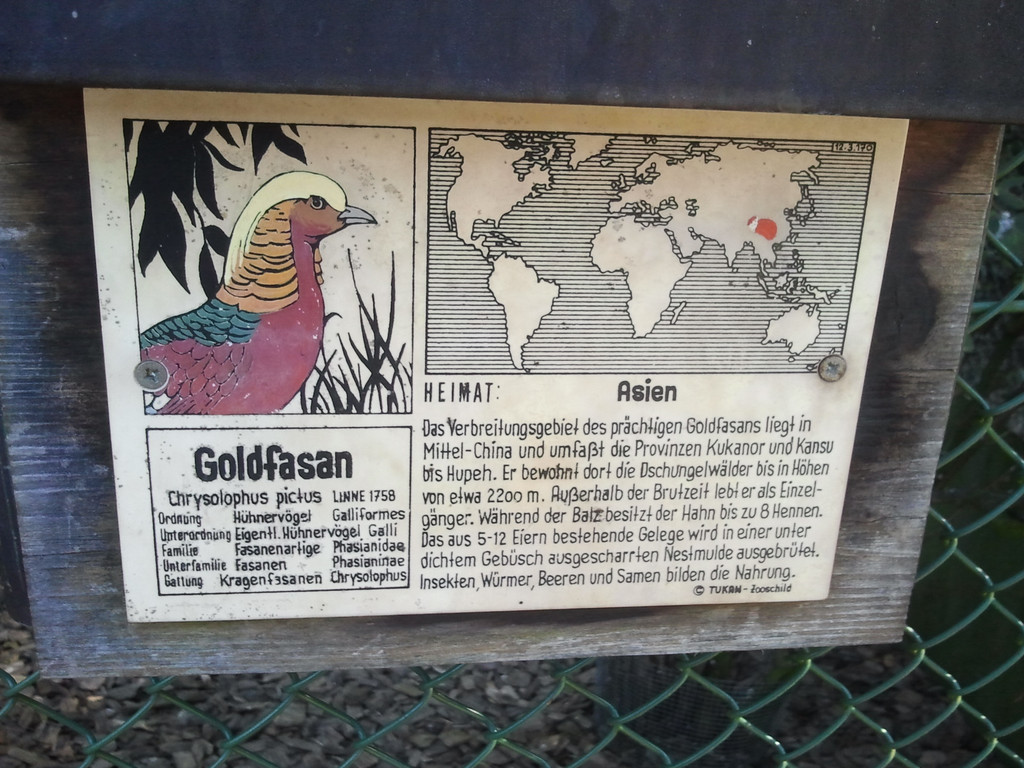 2013-09-25 09_15_30_jpg-1380200358