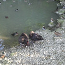 2013-09-25 09_18_36_jpg-1380200376