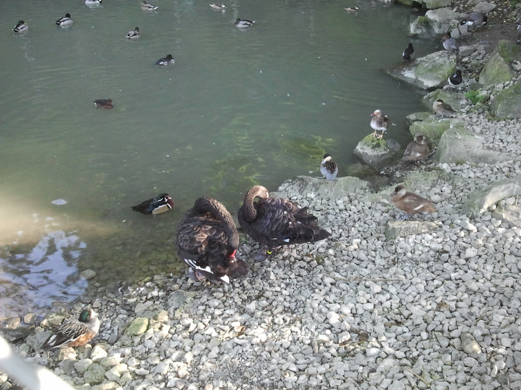 2013-09-25 09_18_36_jpg-1380200376