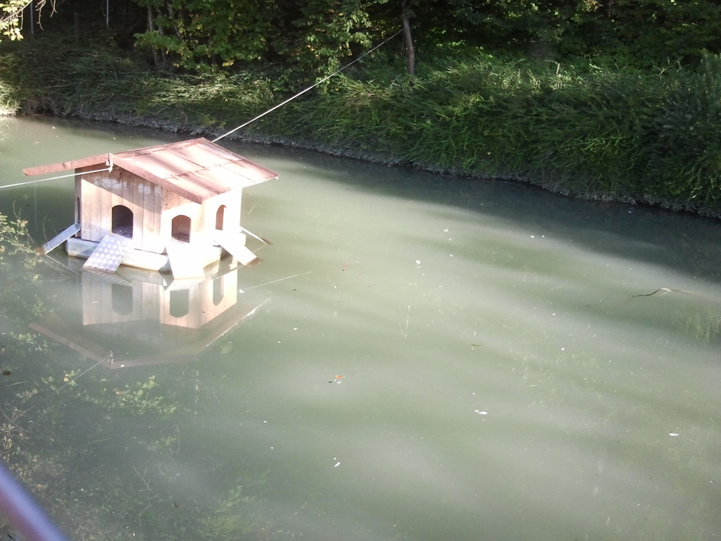 2013-09-25 09_23_00_jpg-1380200411