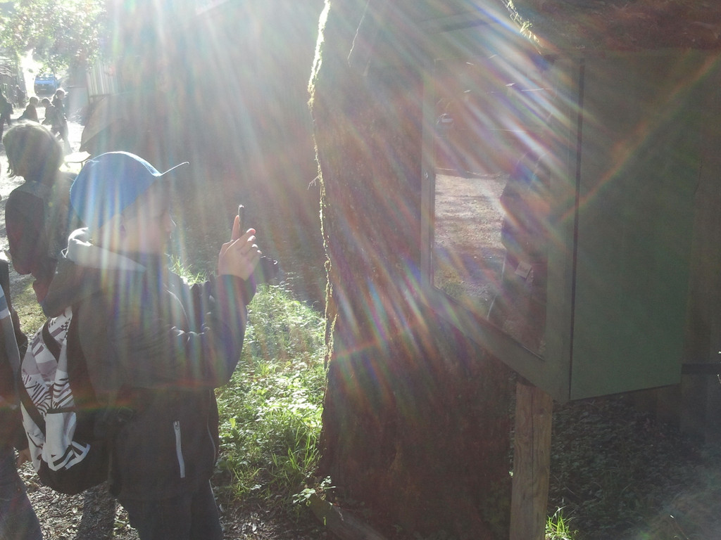 2013-09-25 09_27_58_jpg-1380200425