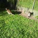 2013-09-25 09_31_57_jpg-1380200433