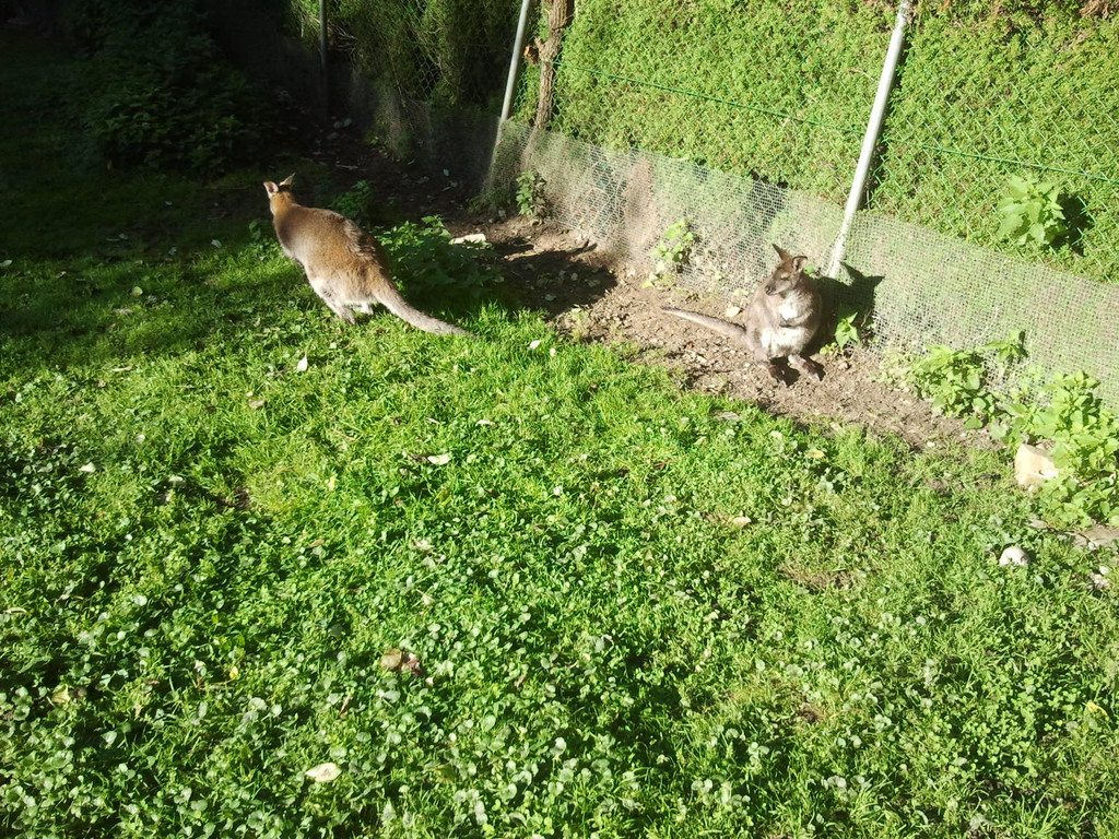 2013-09-25 09_31_57_jpg-1380200433