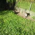 2013-09-25 09_31_59_jpg-1380200441