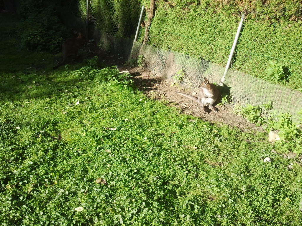 2013-09-25 09_31_59_jpg-1380200441