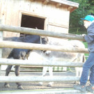 2013-09-25 09_32_33_jpg-1380200447