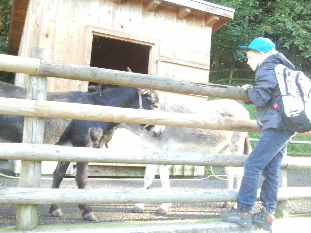 2013-09-25 09_32_33_jpg-1380200447