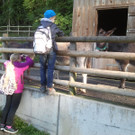 2013-09-25 09_32_43_jpg-1380200455