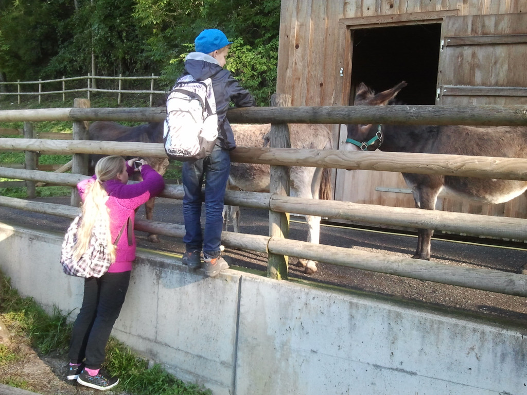 2013-09-25 09_32_43_jpg-1380200455