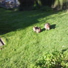 2013-09-25 09_33_55_jpg-1380200470