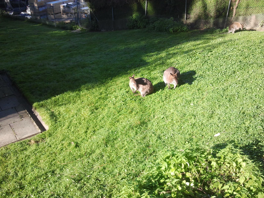 2013-09-25 09_33_55_jpg-1380200470