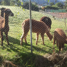 2013-09-25 09_44_36_jpg-1380200500