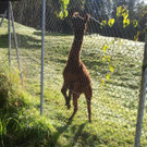 2013-09-25 09_45_21_jpg-1380200515