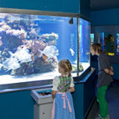 Aquarium und Reptilienzoo02.jpg