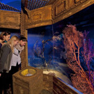 Aquarium und Reptilienzoo03.jpg
