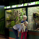 Aquarium und Reptilienzoo06_1_.jpg