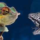 Aquarium und Reptilienzoo09.jpg