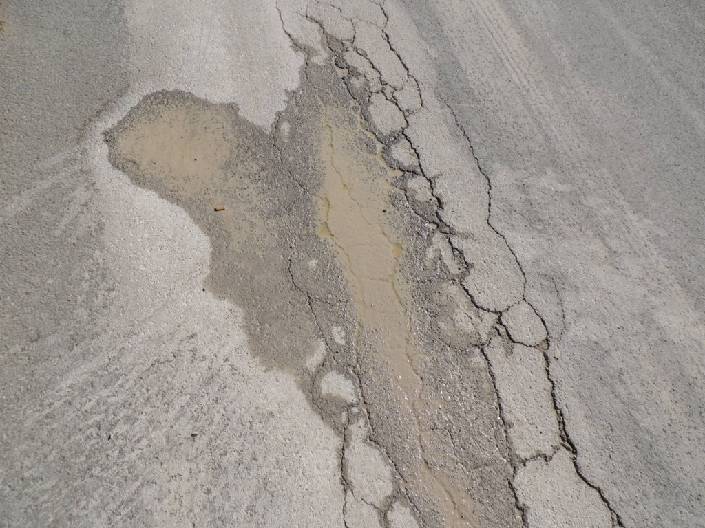 DSCN5037_JPG-1380235306