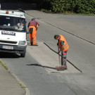 DSCN8636_JPG-1380235324