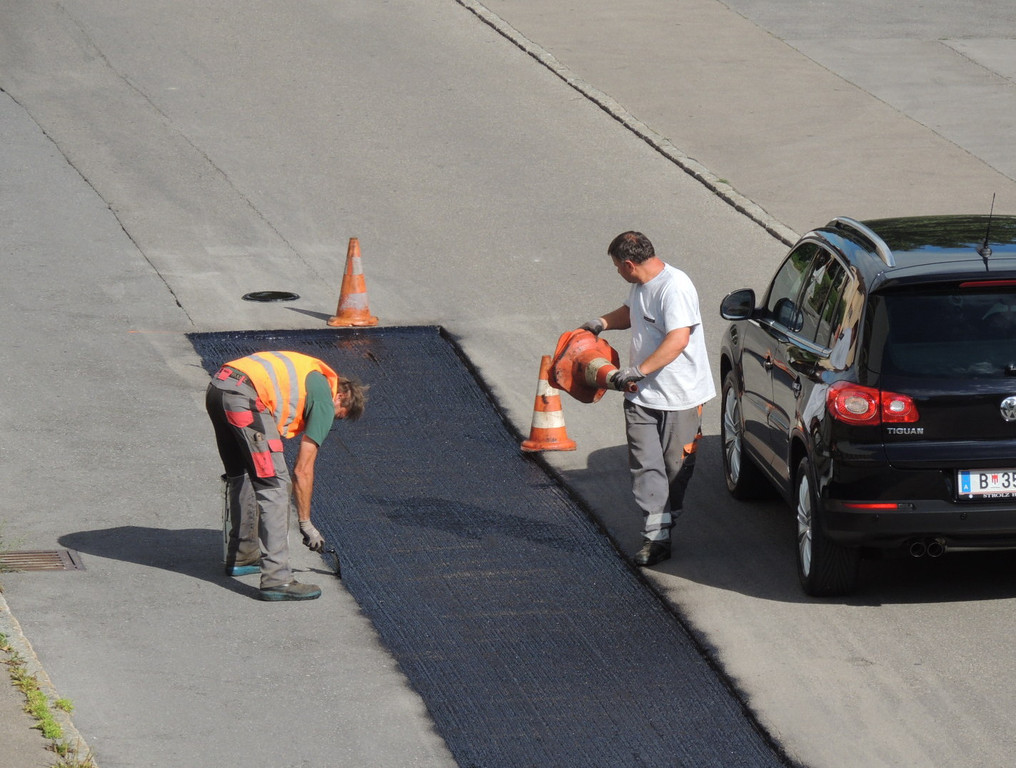 DSCN8658_JPG-1380235336