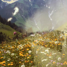 KOE_Buchpraesentation Natur und Umwelt 7_jpg-1380315267