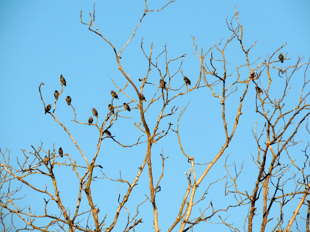 DSCN4058_JPG-1380319338