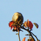 Bild 668_jpg-1380319382