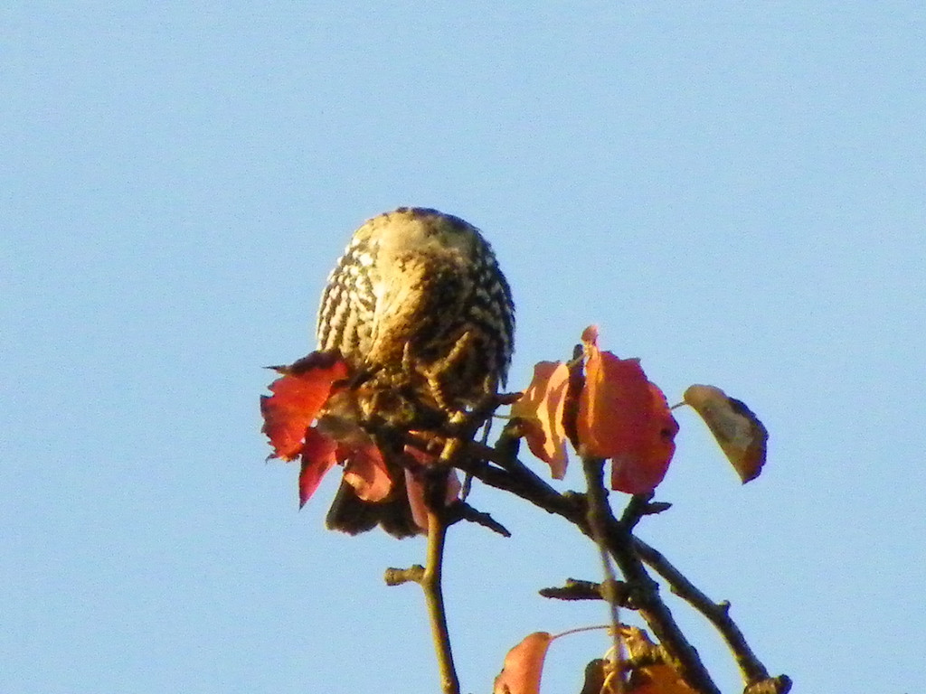 Bild 668_jpg-1380319382