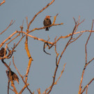 DSCN4060_JPG-1380319341