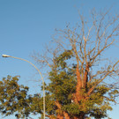 DSCN4074_JPG-1380319377