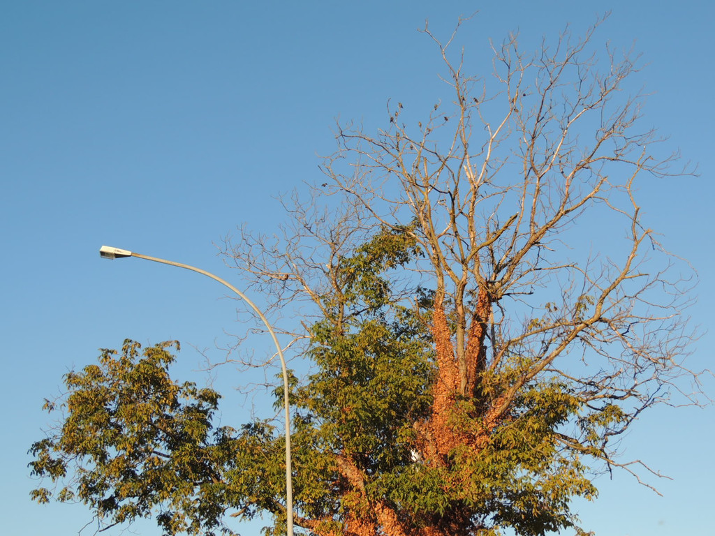 DSCN4074_JPG-1380319377