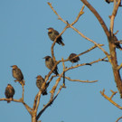 DSCN4061_JPG-1380319346