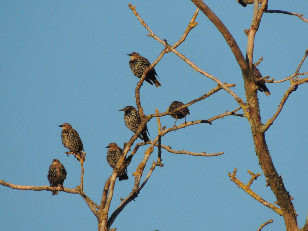 DSCN4061_JPG-1380319346