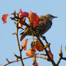 Bild 674_jpg-1380319387